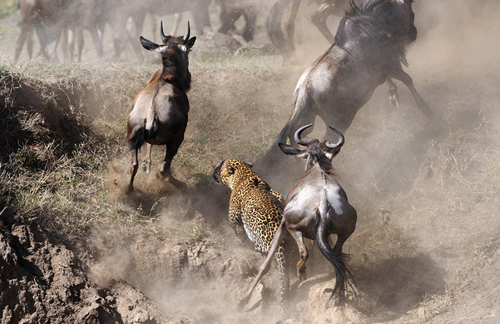 信貸業(yè)扣人心弦的斗爭