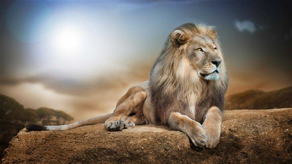 1502785684119038.jpg 1502785684119038.jpg