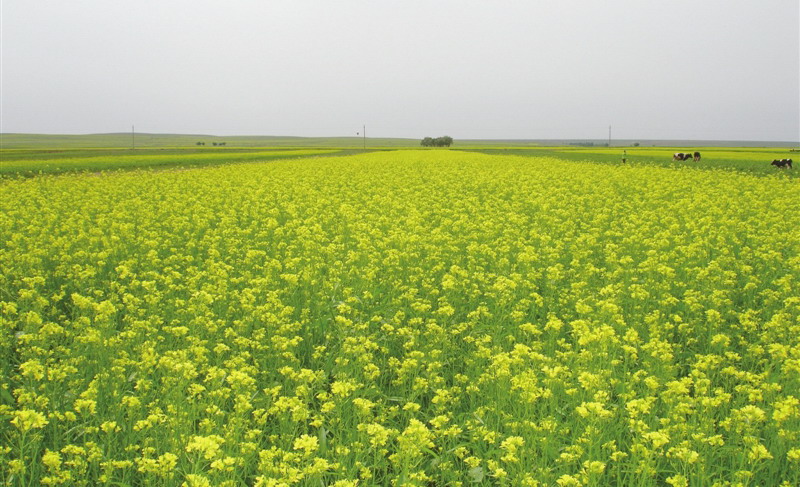 小微企業(yè)貸款 小微企業(yè)貸款