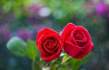 1544694842977811.jpg t0143c6afc84c795f42.jpg