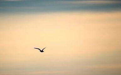 1547803874135102.jpg t0126eaeead5ad4b9d8.jpg