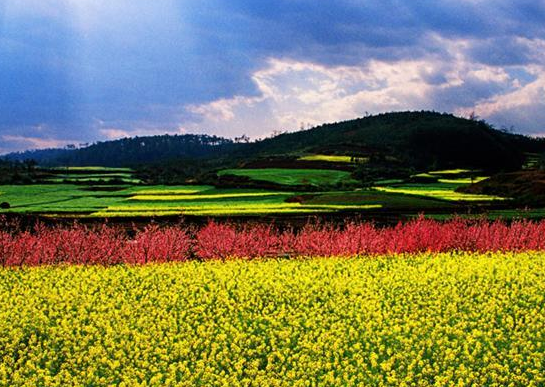 涉農(nóng)貸款貼息