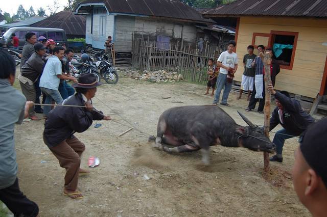 1553160008903538.jpg timg.jpg