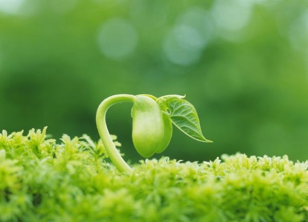 1562233861125670.jpg 2.jpg