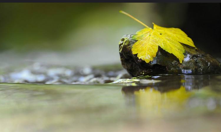 1568627128429672.jpg 04.jpg