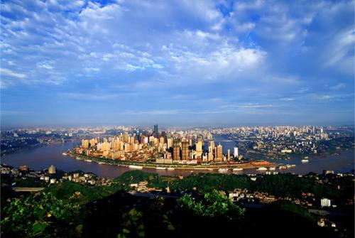 1568973243740964.jpg 05.jpg