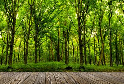 1574158888219892.jpg u=2865091125,3926139435&fm=26&gp=0.jpg