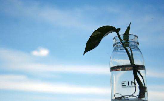 1574677127353807.jpg timg.jpg