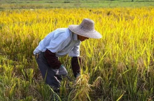 1576575536196397.jpg u=1901895432,723578136&fm=26&gp=0.jpg