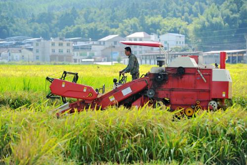 1576575573227078.jpg 下載.jpg