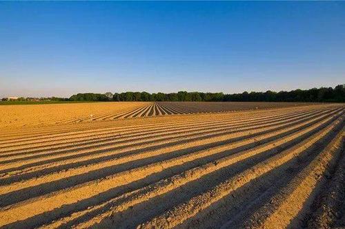 1576575592693069.jpg u=1250235517,3250491578&fm=26&gp=0.jpg