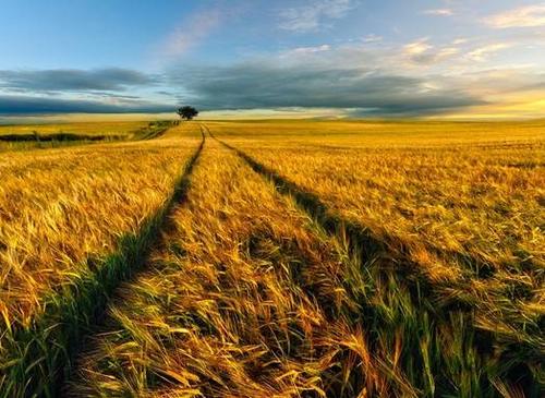 1576575617135799.jpg u=274977863,3502296723&fm=26&gp=0.jpg