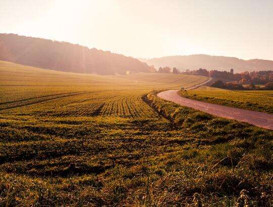 1576575741993818.jpg 1576575741993818.jpg