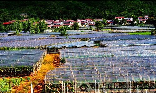 1591002912115264.jpg 農村貸款不要利息.jpg