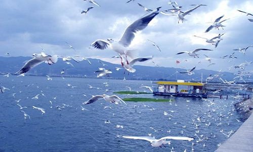 1591262392630587.jpg u=3455697143,3918167057&fm=26&gp=0.jpg