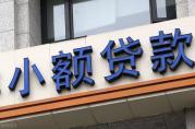 2022年二季度小額貸款公司統(tǒng)計(jì)數(shù)據(jù)報(bào)告